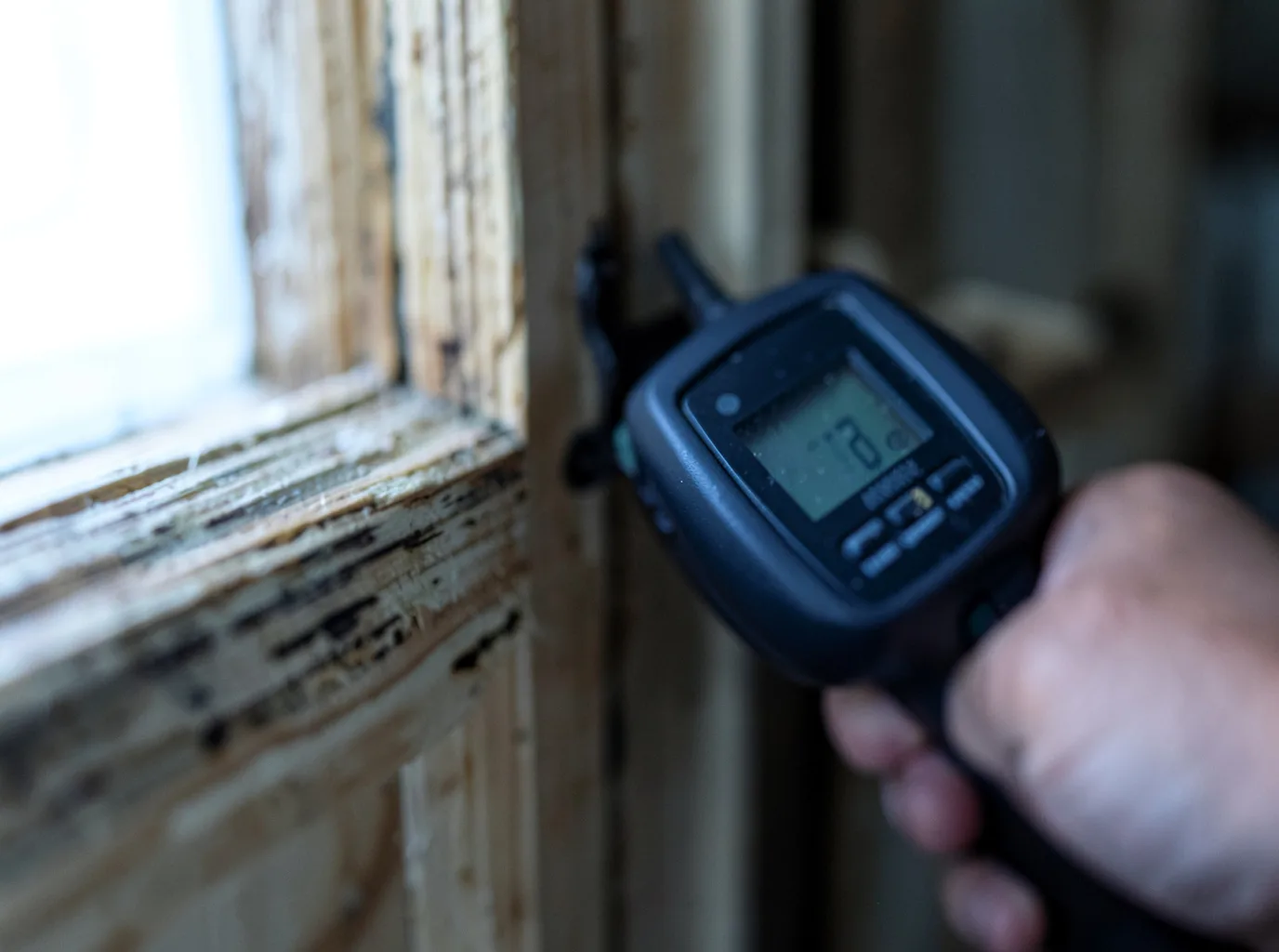 Moisture Inspection And Documentation in Odessa, TX